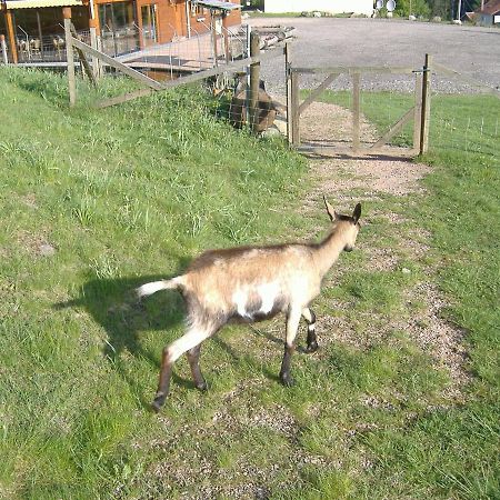 Les Gites De La Bergerie Xonrupt-Longemer Eksteriør billede